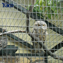 Günstigen Preis hochwertige 3/4 &quot;verzinktem geschweißtem Drahtgeflecht für Vogelkäfig